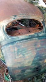 trunk.png