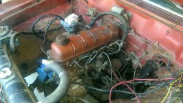 IMAG0667.jpg