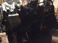 IMG_1264.JPG
