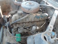 DSCN5672.JPG