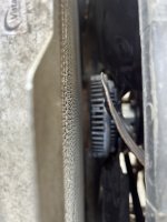 IMG_5878.jpeg