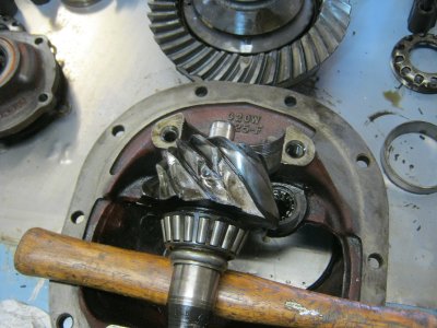 8 inch 1.JPG