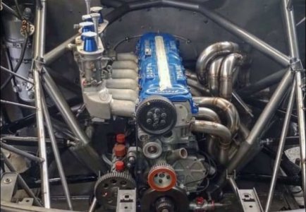 IMG_2597.jpeg IMG_2597.jpeg