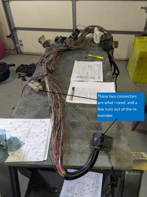 main harness.png