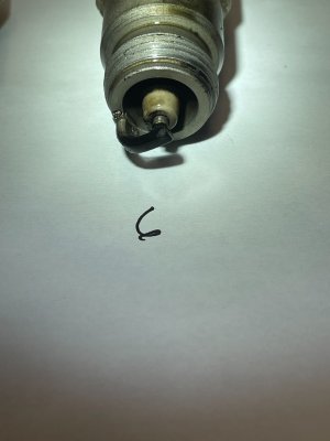 IMG_6960.jpeg