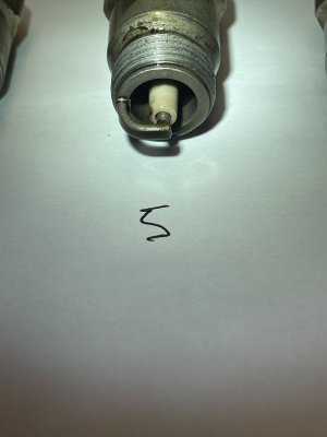 IMG_6959.jpeg