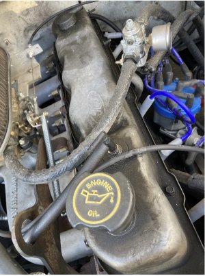 IMG_0029.jpeg IMG_0029.jpeg