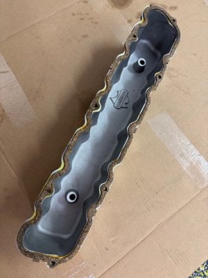 Aussiespeed VC03.jpeg