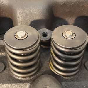 IMG_3296.jpeg IMG_3296.jpeg