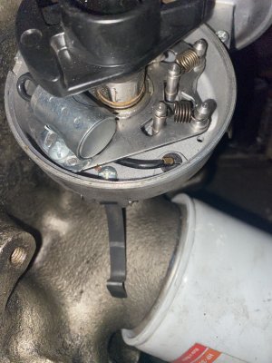 IMG_7016.jpeg IMG_7016.jpeg