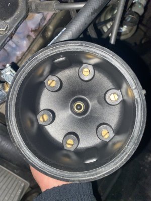 IMG_7019.jpeg IMG_7019.jpeg