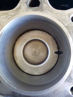 20210613_110139.jpg