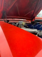 IMG_20211208_135309.jpg