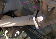 Ford_F100_1969_Block_Plugs.jpg