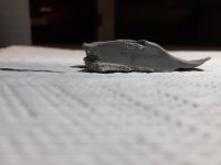 20220515_195419.jpg