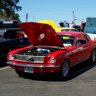 66Muscle