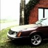 1981Ghia