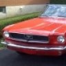 6inarowStang
