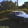 Rustang 250